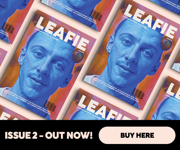 Grenada decriminalises cannabis for adults over 21 – leafie